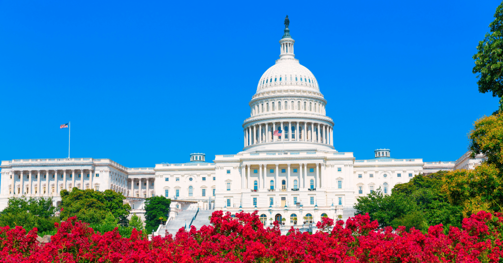 בניין הקפיטול בוושינגטון הבירה ביום בהיר – מבט מרוחק מעל בריכת ההשתקפות