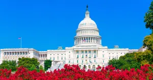 בניין הקפיטול בוושינגטון הבירה ביום בהיר – מבט מרוחק מעל בריכת ההשתקפות